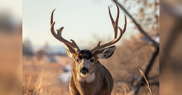 Photo Credit by Wirestock
