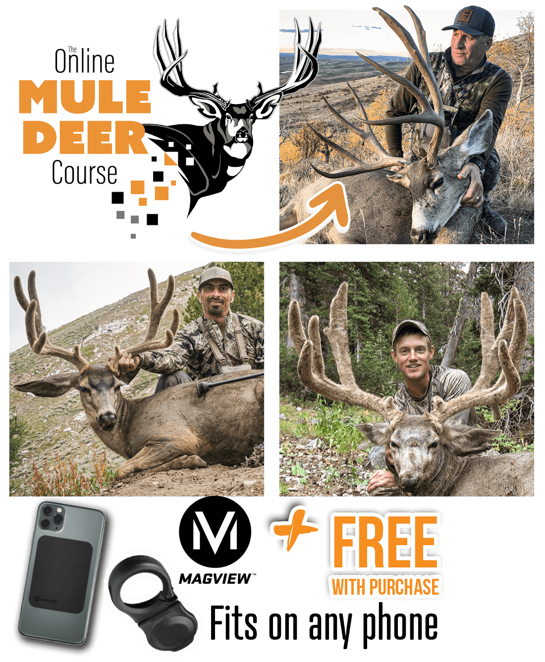 ProductGraphic_FallPromo_Sm