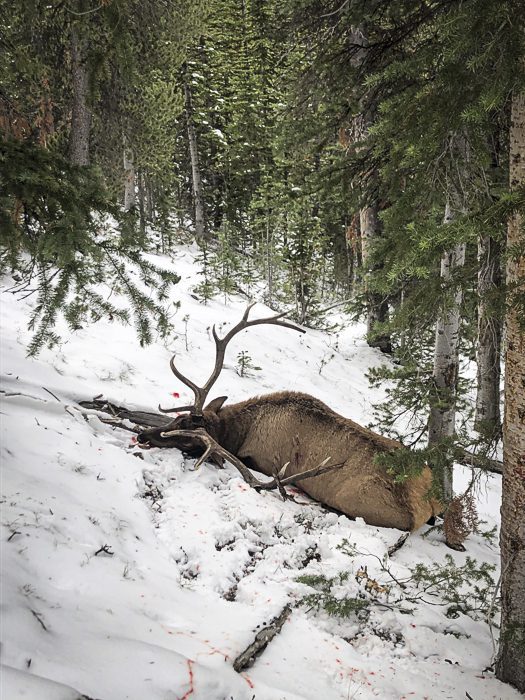 100923_Tony Hallock-ELK-MT-DIY-PL_IMG_2437_sm