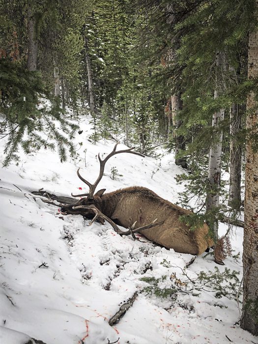 100923_Tony Hallock-ELK-MT-DIY-PL_IMG_2438_sm