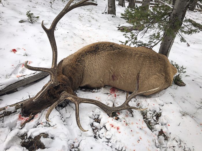 100923_Tony Hallock-ELK-MT-DIY-PL_IMG_2441_sm