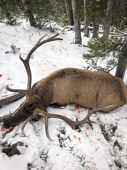 100923_Tony Hallock-ELK-MT-DIY-PL_IMG_2442_sm