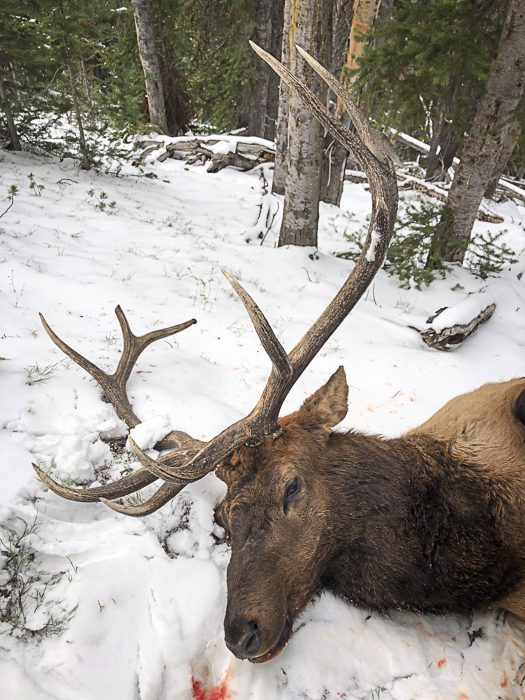 100923_Tony Hallock-ELK-MT-DIY-PL_IMG_2443_sm