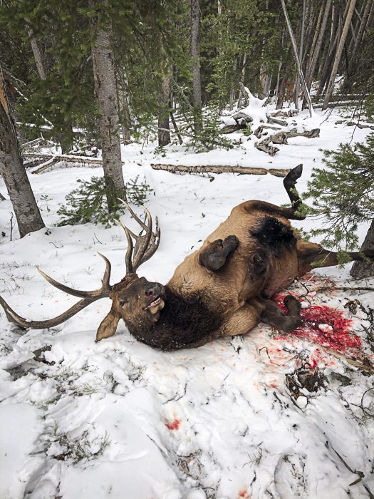 100923_Tony Hallock-ELK-MT-DIY-PL_IMG_2446_sm