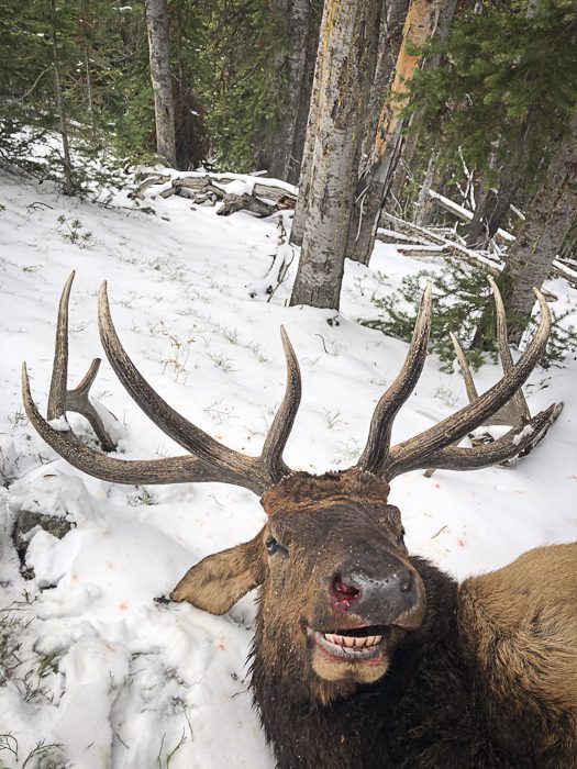 100923_Tony Hallock-ELK-MT-DIY-PL_IMG_2447_sm