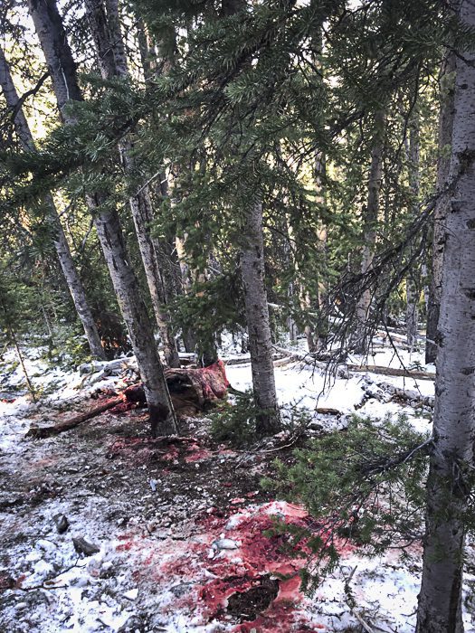 100923_Tony Hallock-ELK-MT-DIY-PL_IMG_2478_sm