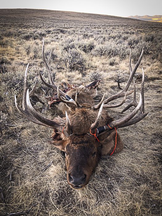 100923_Tony Hallock-ELK-MT-DIY-PL_IMG_2479_sm