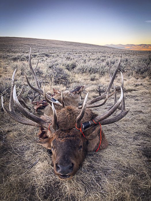 100923_Tony Hallock-ELK-MT-DIY-PL_IMG_2480_sm