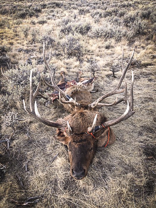 100923_Tony Hallock-ELK-MT-DIY-PL_IMG_2481_sm