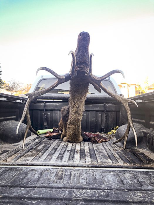 100923_Tony Hallock-ELK-MT-DIY-PL_IMG_2488_sm