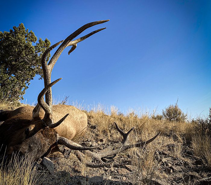 101623_Shaun Larsen-ELK-UT-DIY-PL_image1