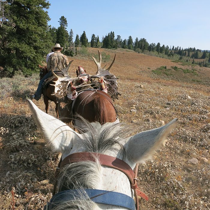 Whit Cross-MOOSE-UT-DIY-PL_IMG_0232