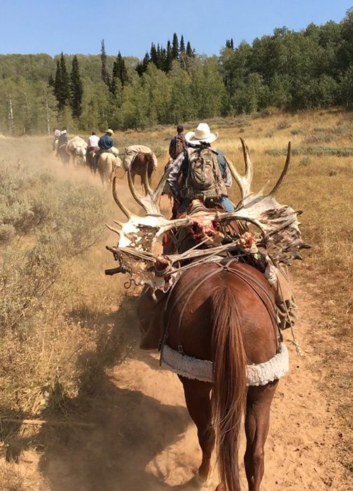 Whit Cross-MOOSE-UT-DIY-PL_IMG_7206