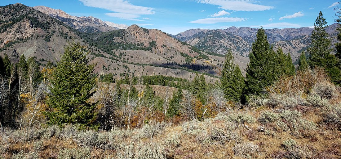 112823_Shane Davis-ELK-ID-DIY-PL_20201019_152302