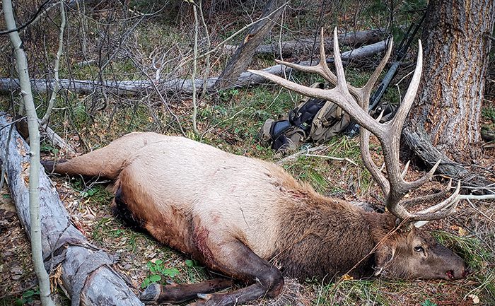 112823_Shane Davis-ELK-ID-DIY-PL_20201020_085344