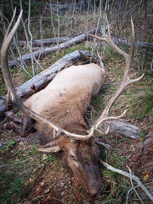 112823_Shane Davis-ELK-ID-DIY-PL_20201020_085421
