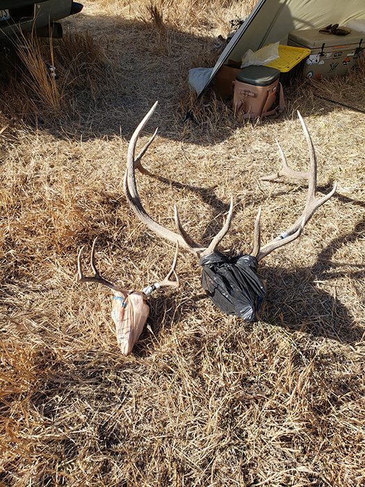 112823_Shane Davis-ELK-ID-DIY-PL_20201021_151235
