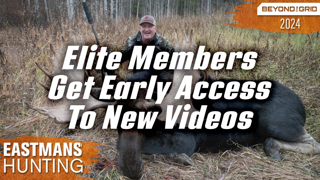 BTG_WY_Moose_Thumbnail_BTG_LandingPage