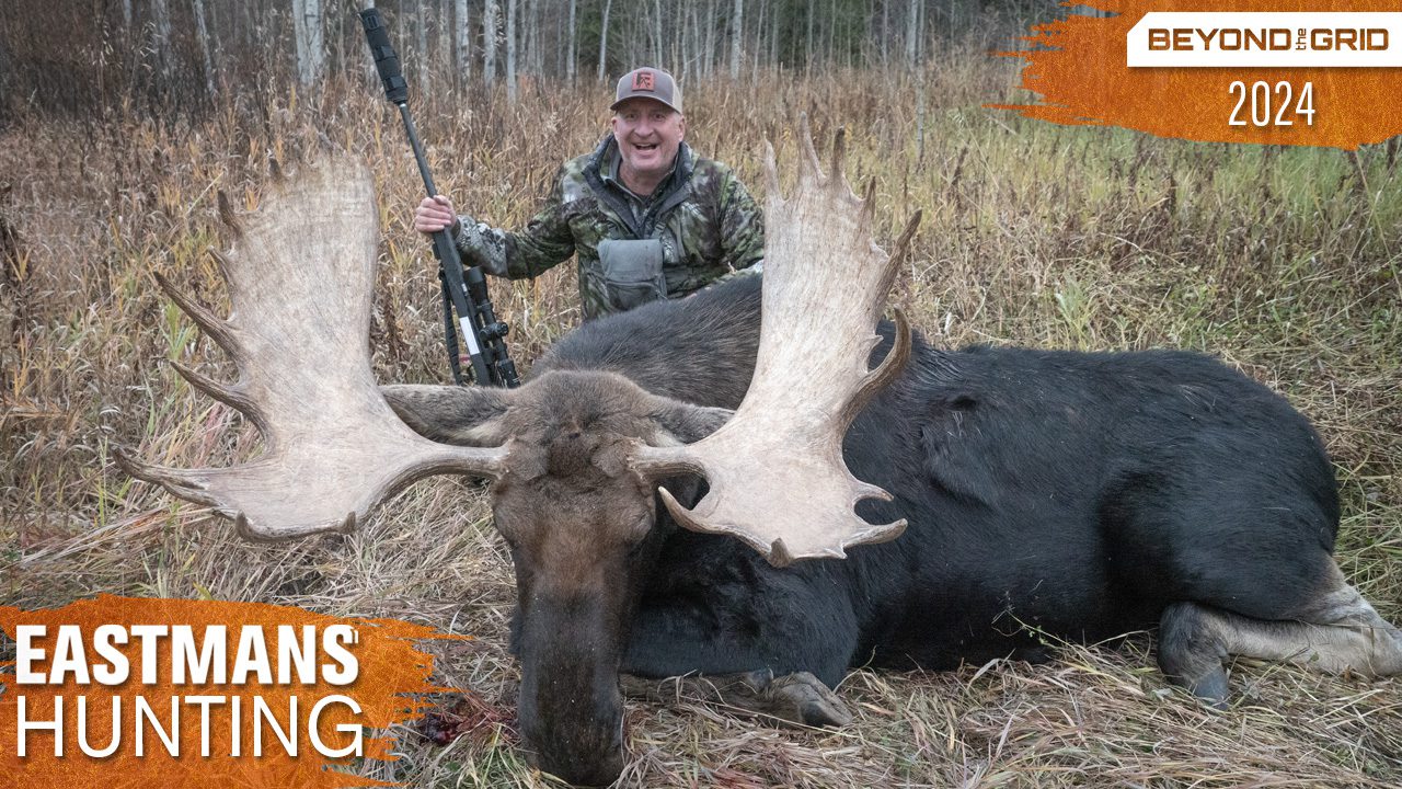 BTG_WY_Moose_Thumbnail_BTG_LandingPage