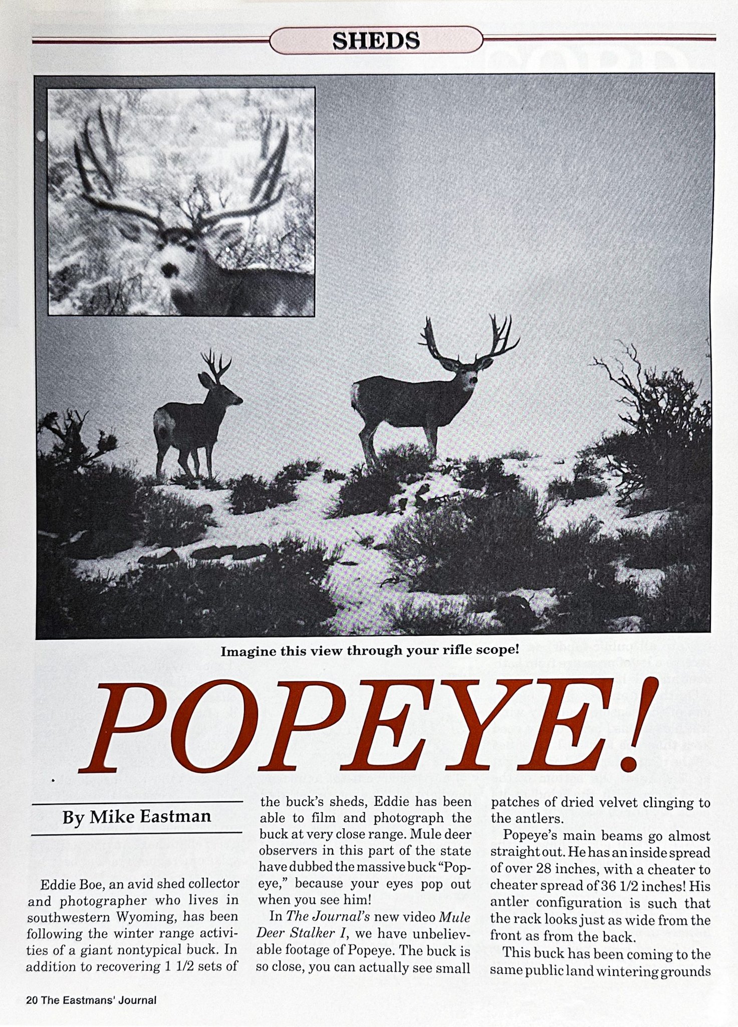 EHJ_030_Popeye_1