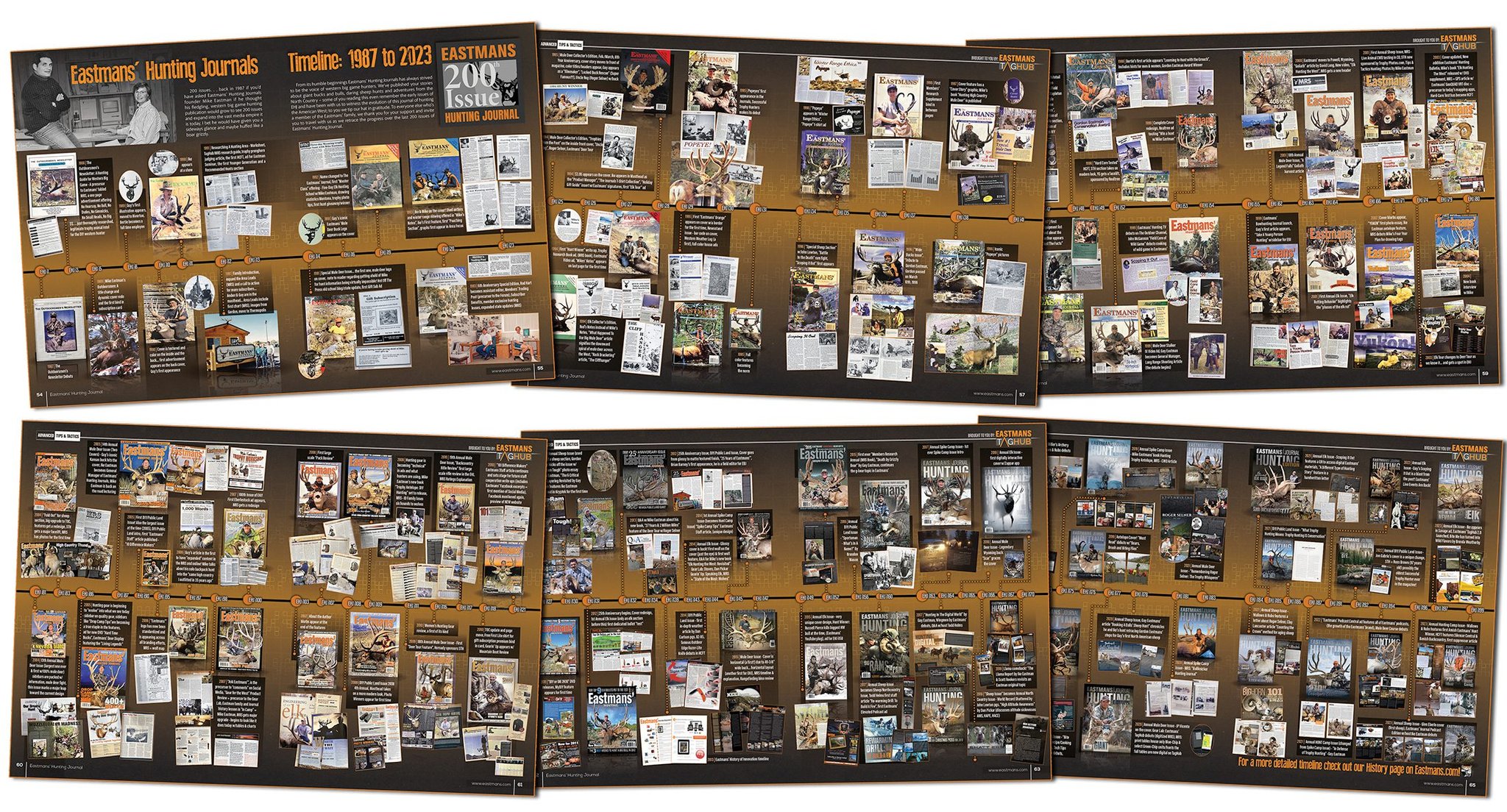 Timeline-All pages