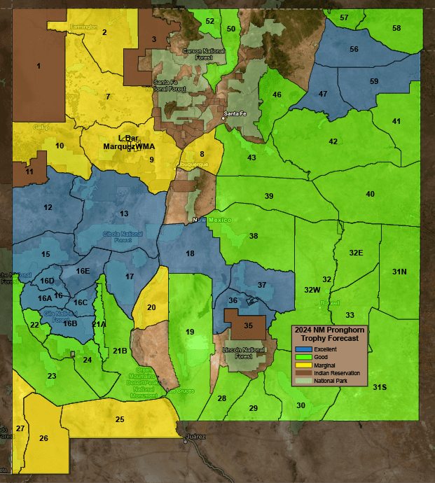 2024 New Mexico Pronghorn Hunt Areas