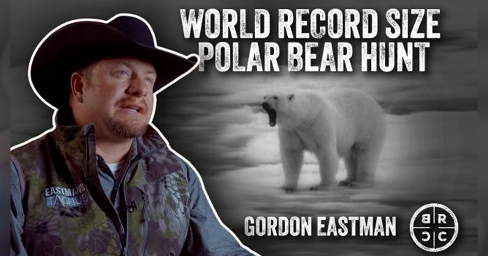Blog_PolarBear_BRCC_Video