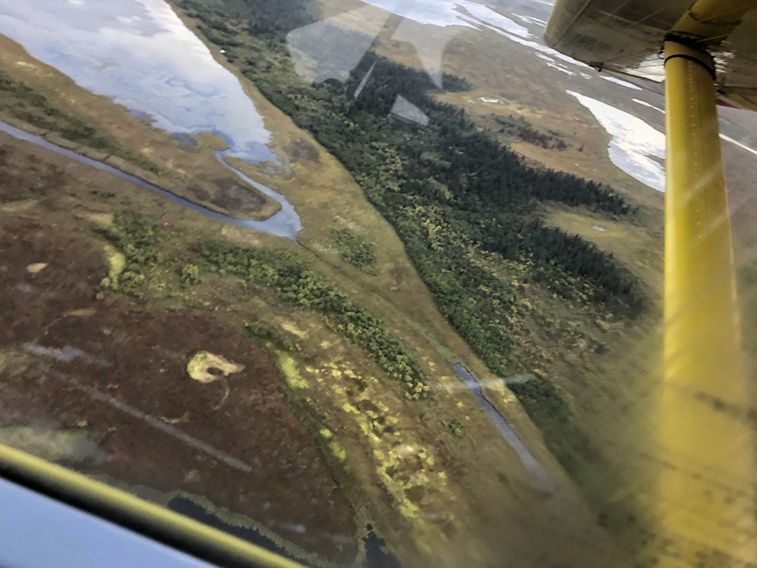 020624_Merritt Fore-MOOSE-AK-DIY-PL_IMG_1822
