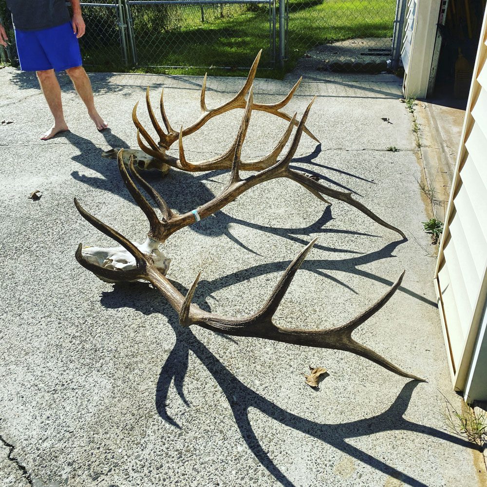 021324_Nicholas Woodall-ELK-NM-DIY-PL_003