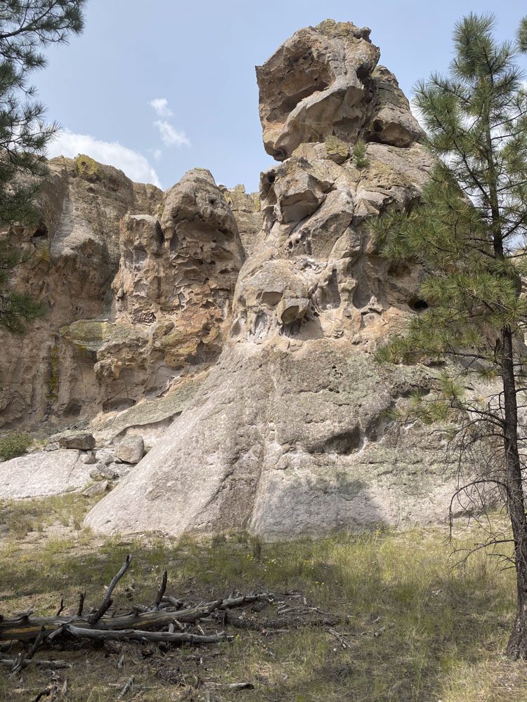 021324_Nicholas Woodall-ELK-NM-DIY-PL_006