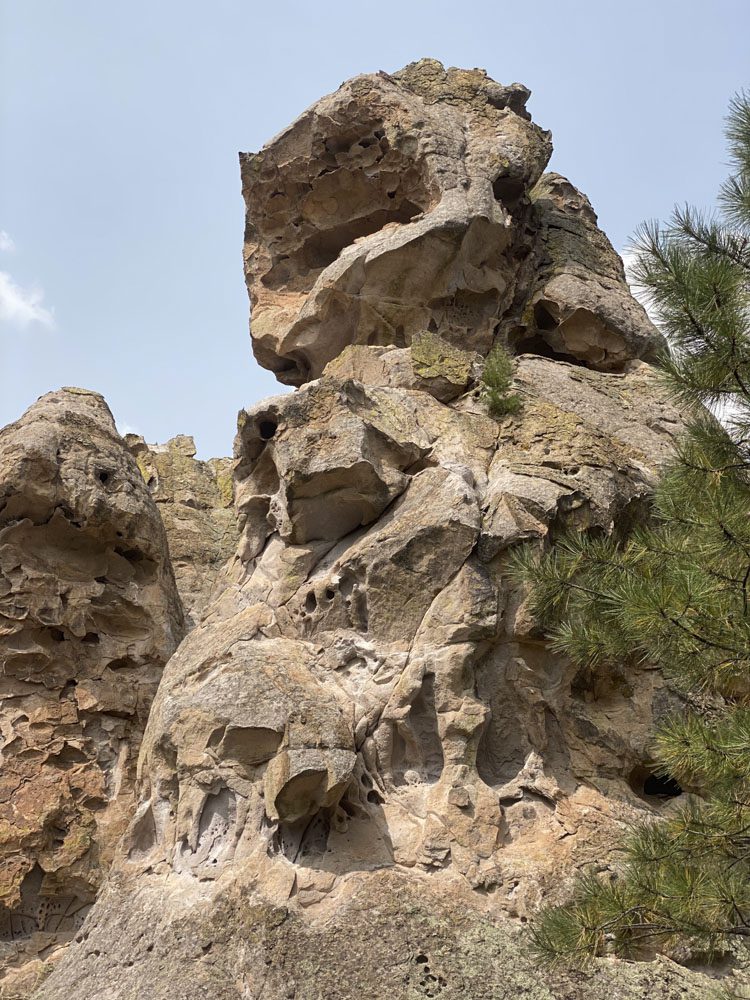 021324_Nicholas Woodall-ELK-NM-DIY-PL_007