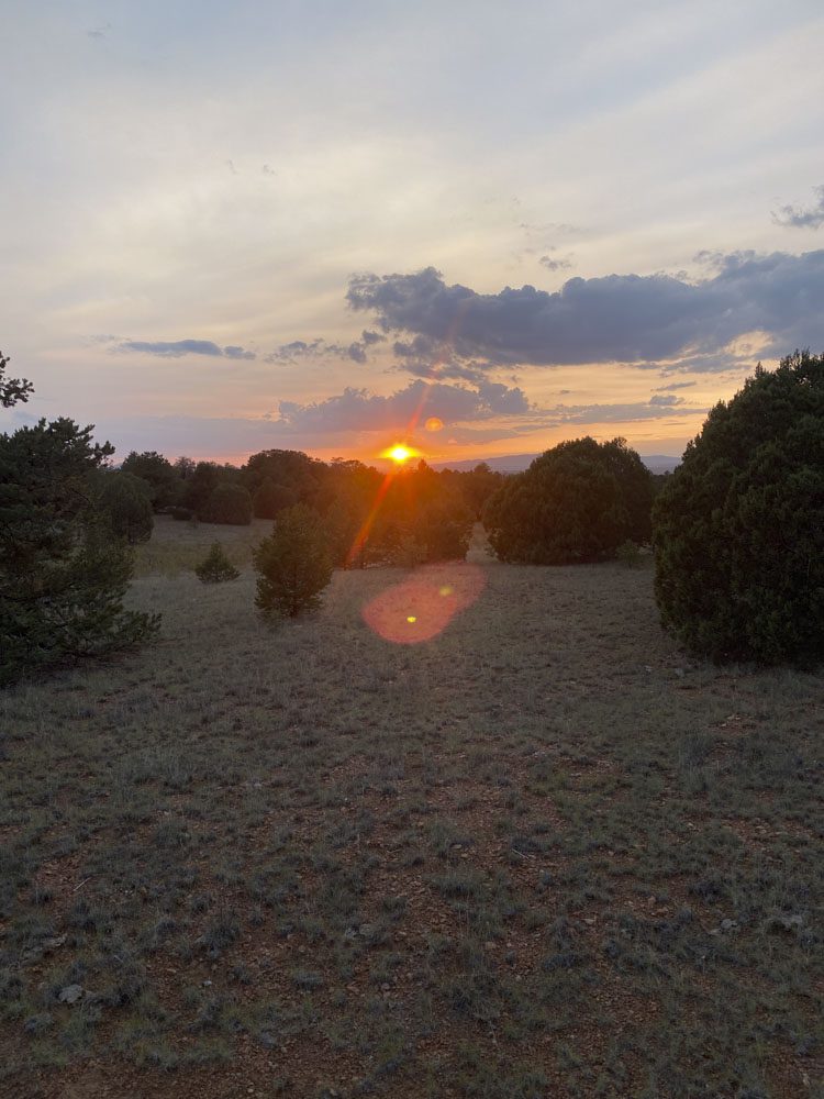 021324_Nicholas Woodall-ELK-NM-DIY-PL_010