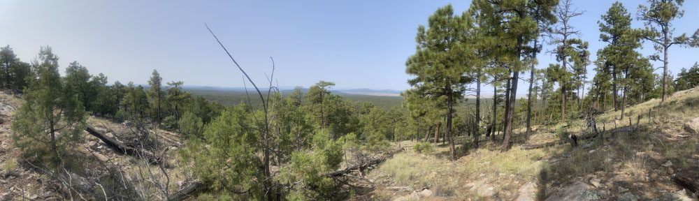 021324_Nicholas Woodall-ELK-NM-DIY-PL_011
