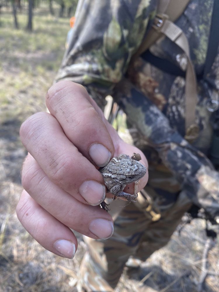 021324_Nicholas Woodall-ELK-NM-DIY-PL_013
