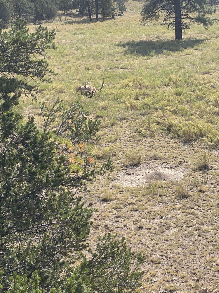 021324_Nicholas Woodall-ELK-NM-DIY-PL_017