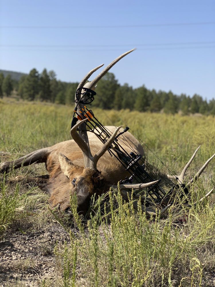 021324_Nicholas Woodall-ELK-NM-DIY-PL_024