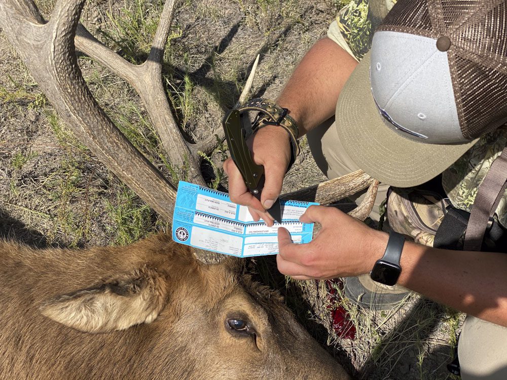 021324_Nicholas Woodall-ELK-NM-DIY-PL_029