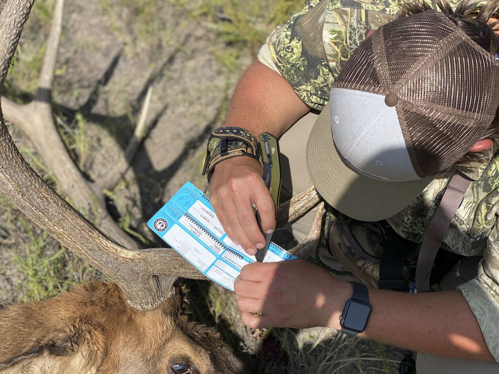 021324_Nicholas Woodall-ELK-NM-DIY-PL_030