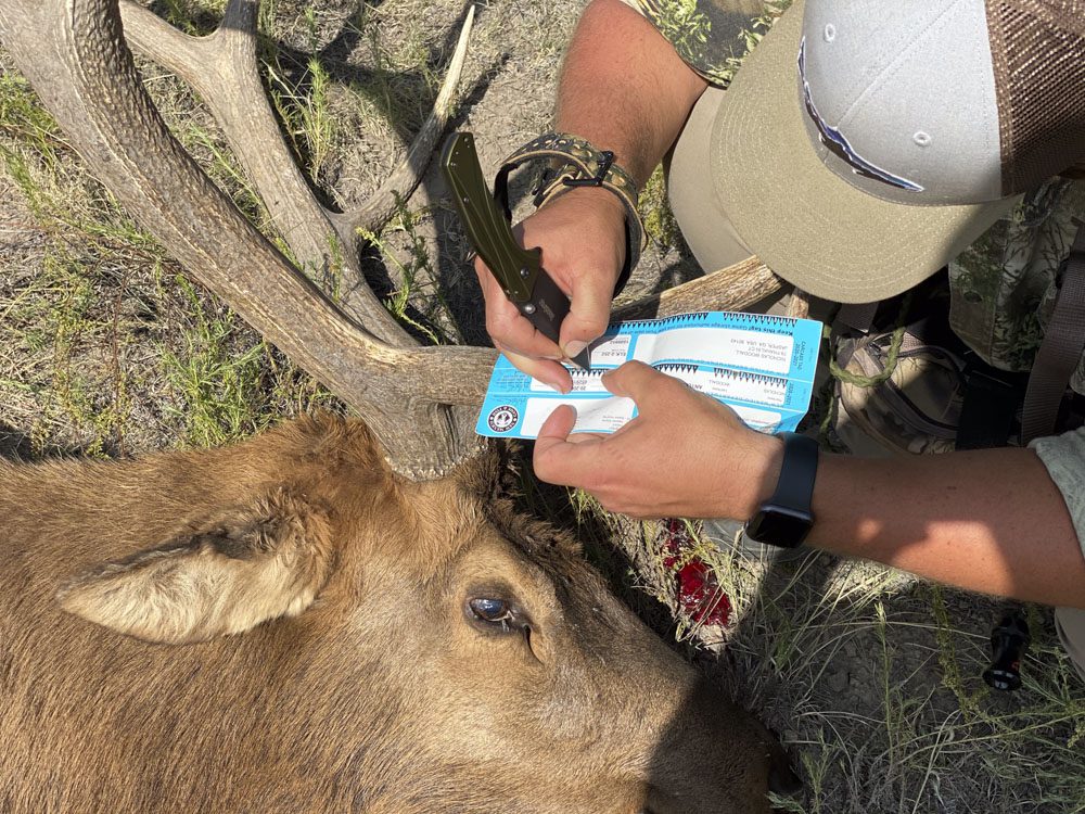 021324_Nicholas Woodall-ELK-NM-DIY-PL_031