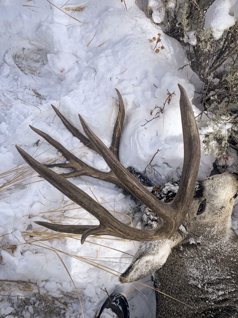 022624_Louis Martell-MD-WY-DIY-PLdeer 2_sm