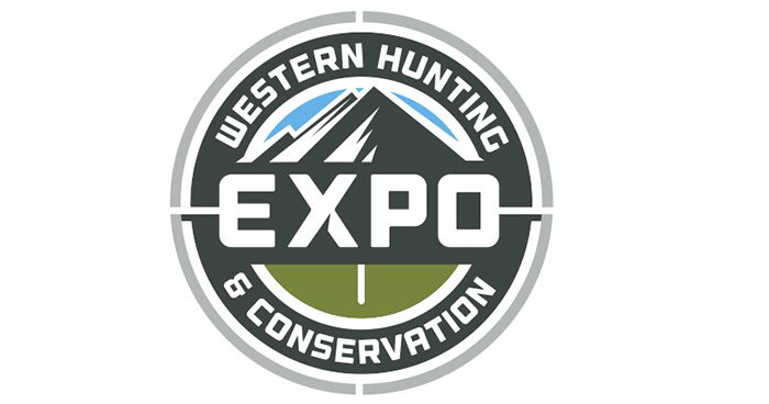 Blog_Expo