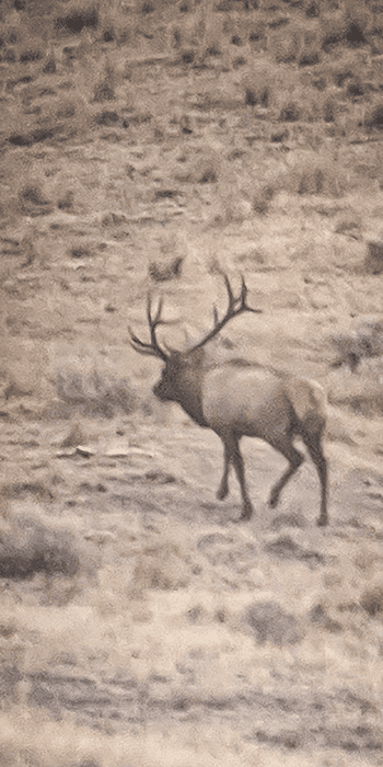 030524_Ian Steffan-ELK-MT-DIY-PL_Screenshot_20200907-080840
