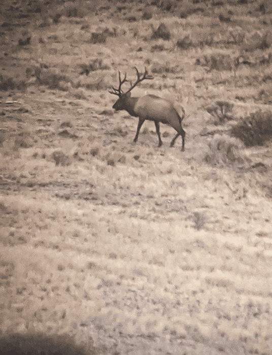 030524_Ian Steffan-ELK-MT-DIY-PL_Screenshot_20200907-080858