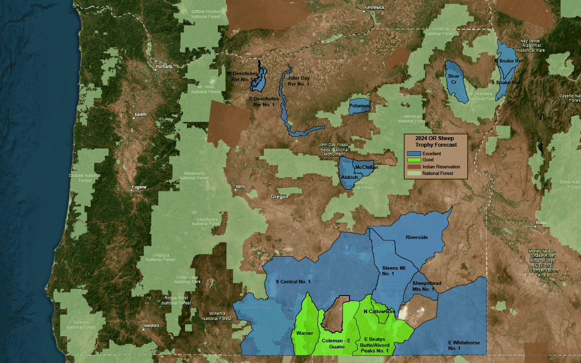2024 OR Sheep Areas