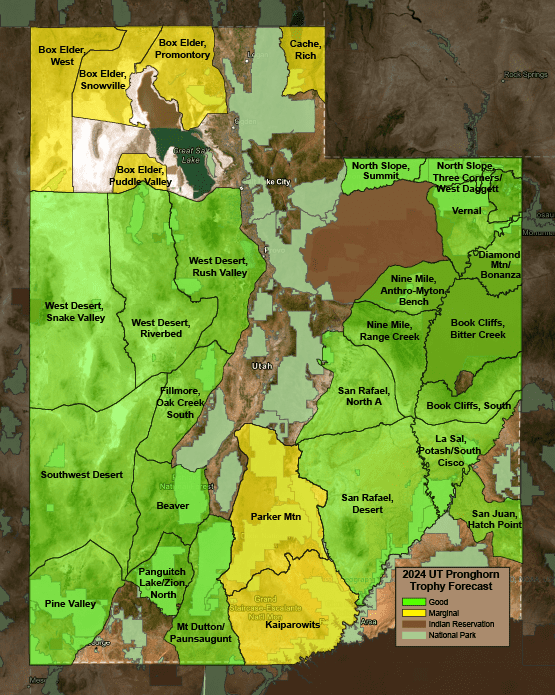 2024 Utah Pronghorn Trophy Forecast