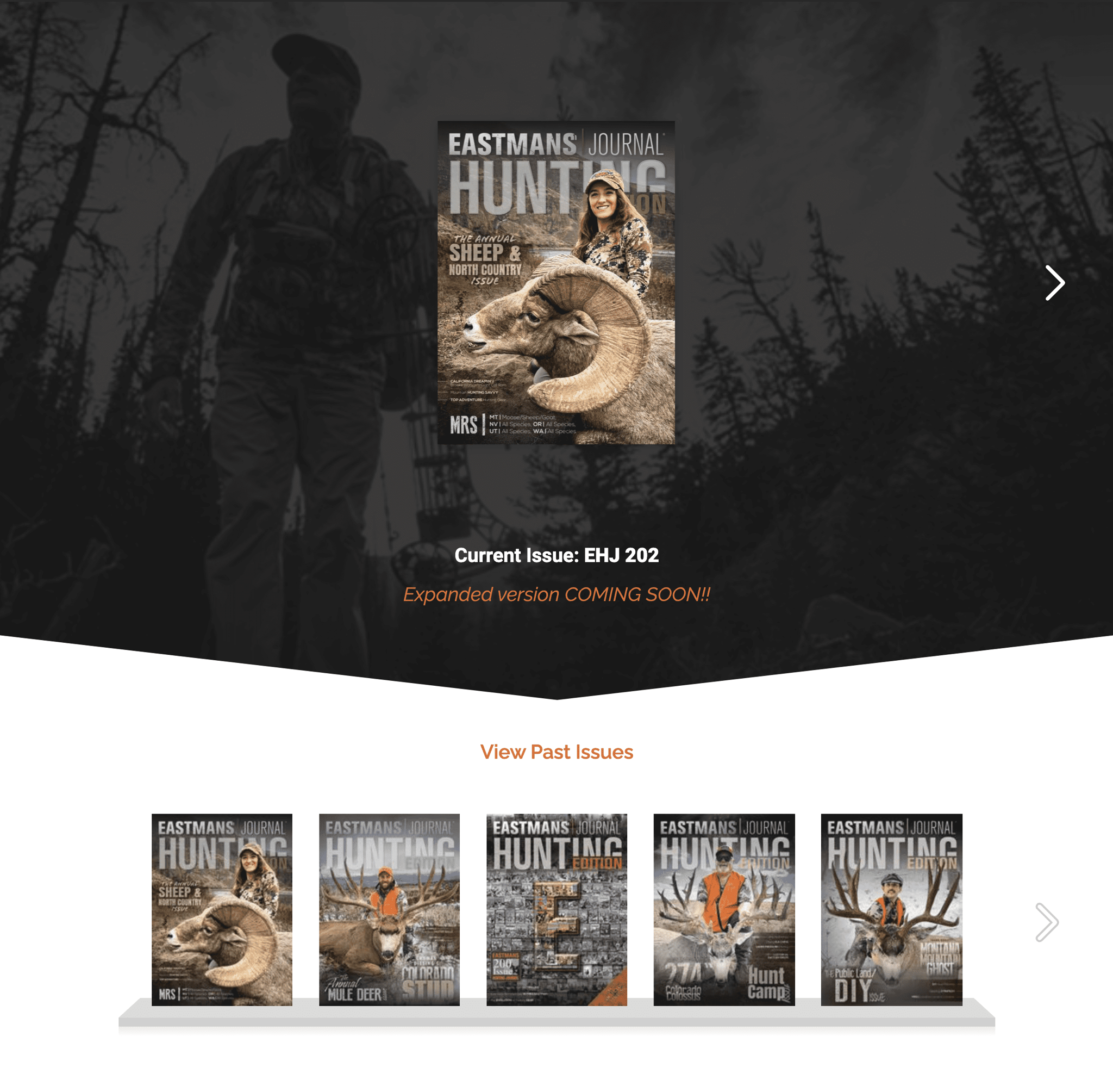 EHJ_Digital Magazine Page