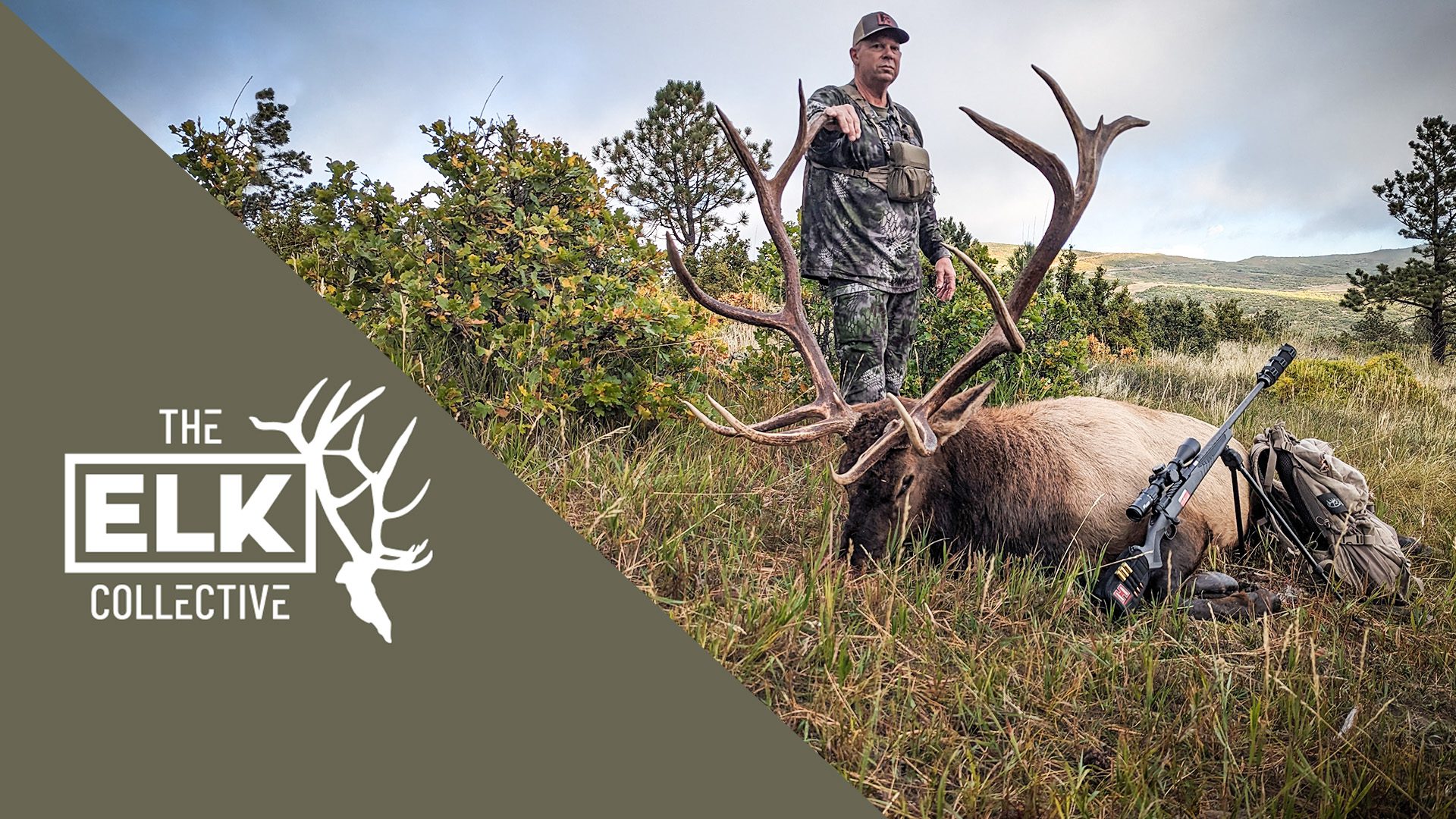 Elk_Collective_2024_CO_Update_Cover