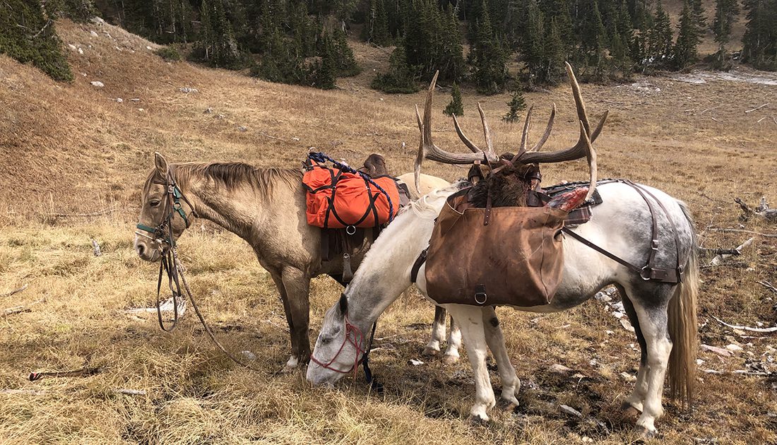 041524_Brandon Titensor-ELK-WY-DIY-PL_IMG_1352