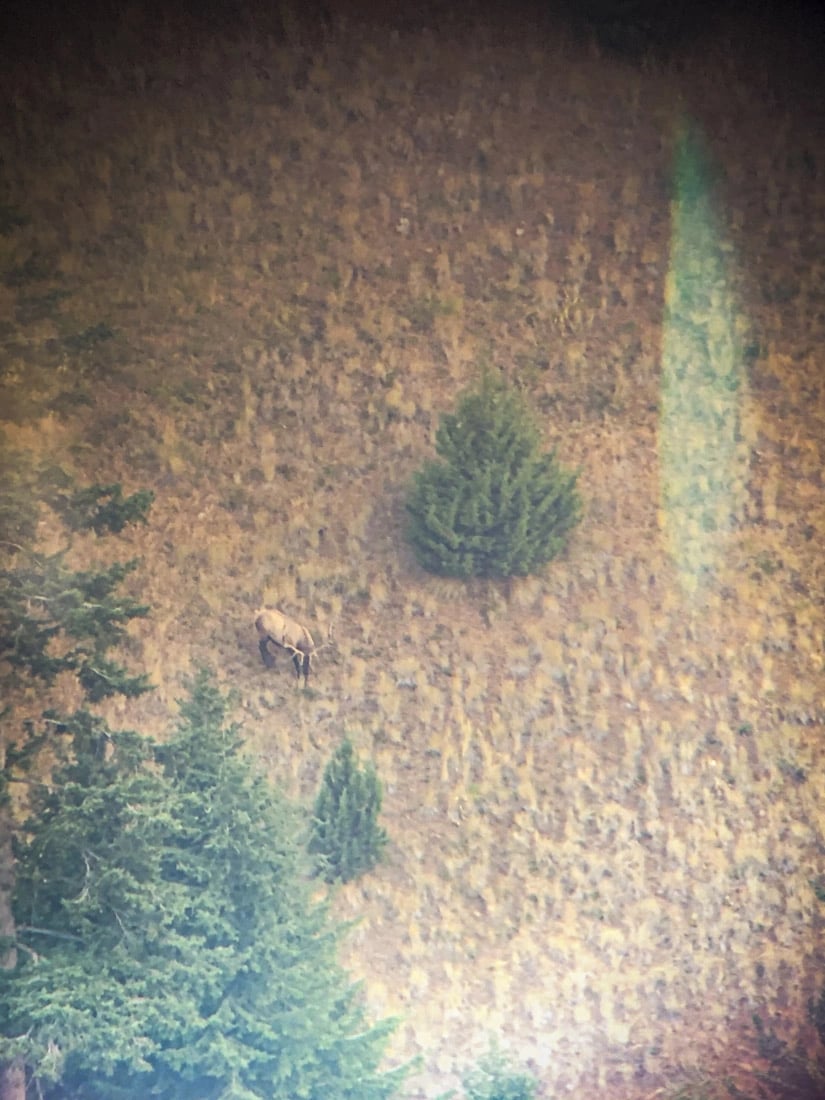 042924_Jimmy Hurley-ELK-OR-DIY-PL_IMG_2132_Edited