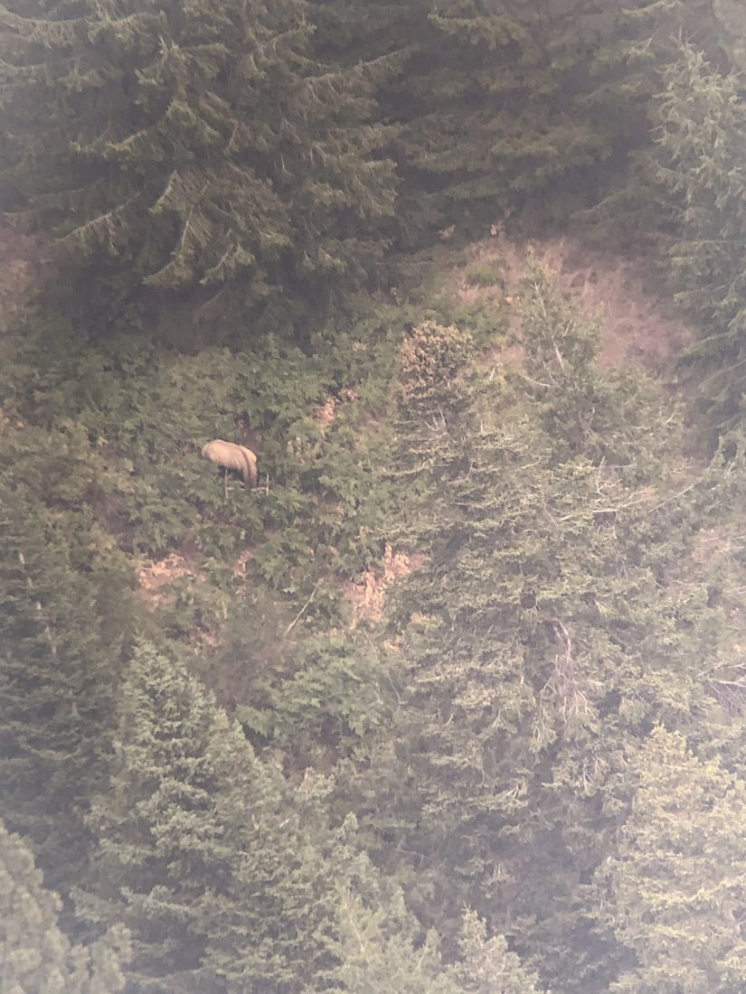 042924_Jimmy Hurley-ELK-OR-DIY-PL_IMG_2135_Edited